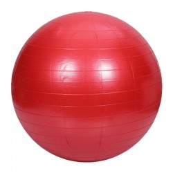 Pelota Bobath de 65 cm para Ejercicios de Estabilidad, Equilibrio, Fuerza con Bomba de Inflado - MVS IN MOTION