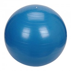 Pelota de Bobath de 55 cm para Ejercicios de Estabilidad, Equilibrio, Fuerza con Bomba de Inflado - MVS IN MOTION